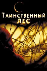 Постер Таинственный лес