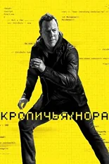 Постер Кроличья нора