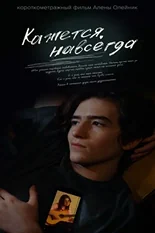 Постер Кажется, навсегда