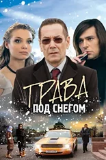 Постер Трава под снегом