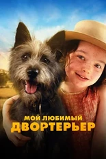 Постер Мой любимый двортерьер