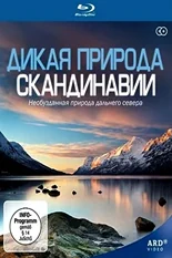 Постер Дикая природа Скандинавии