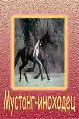 Постер фильма Мустанг-иноходец с названием и персонажими с данной картины